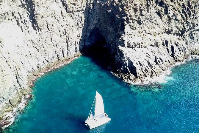 Tenerife Whales and Dolphins Watching Experience in Catamaran - Should you book the White Tenerife catamaran trip?