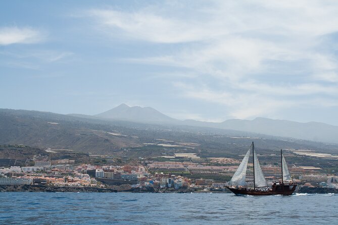 Tenerife : Whales and Dolphins with Food and Bath in Los Gigantes - A four-hour sea trip with a longer pickup window