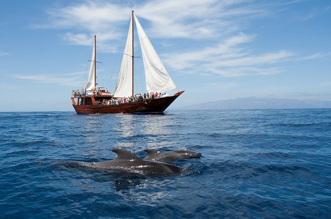 Tenerife : Whales and Dolphins with Food and Bath in Los Gigantes - What weather can change on the day