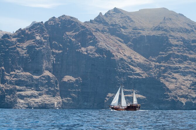 Tenerife : Whales and Dolphins with Food and Bath in Los Gigantes - What to pack and what to leave behind