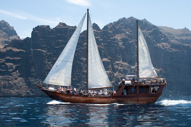 Tenerife : Whales and Dolphins with Food and Bath in Los Gigantes - Who will get the most from this excursion