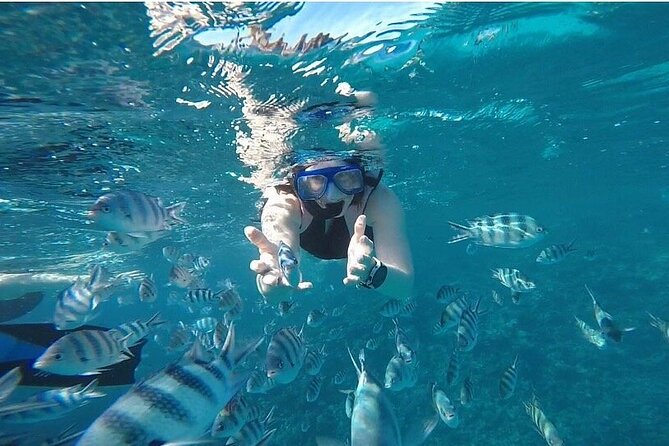 The Dolphin House Royal Sea Trip Adventure in Hurghada - Buffet Lunch and Soft Drinks at Sea