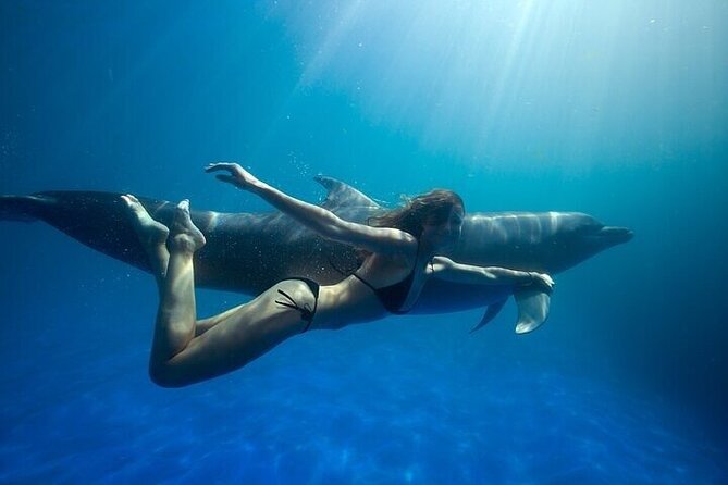 The only Natural Space Dolphin Encounter in Cabo Optional Pickup! - Cabo dolphin encounter at a glance