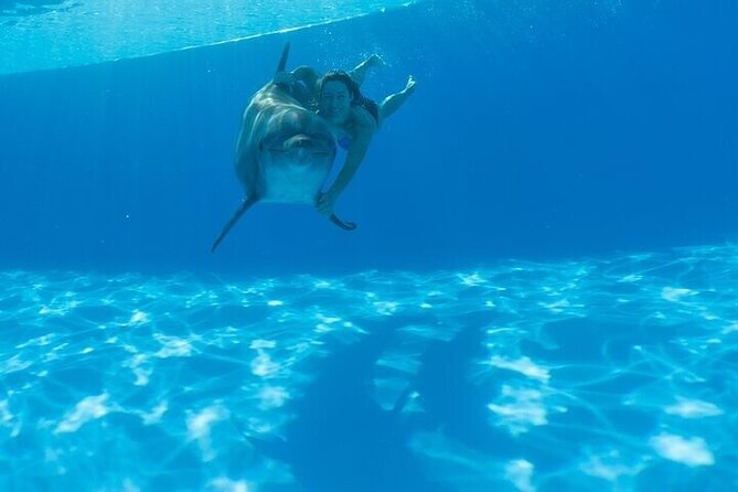 The only Natural Space Dolphin Encounter in Cabo Optional Pickup! - Why the experience earns strong praise