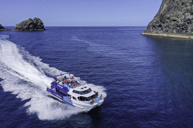 The Original Full day Bay of Islands Cruise with Dolphins - Why This Cruise Works as a Full Bay of Islands Day