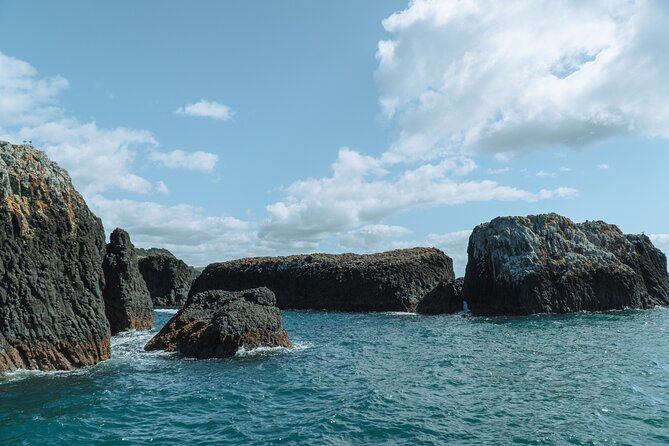 The Original Full day Bay of Islands Cruise with Dolphins - Following the Old Cream Trip Route