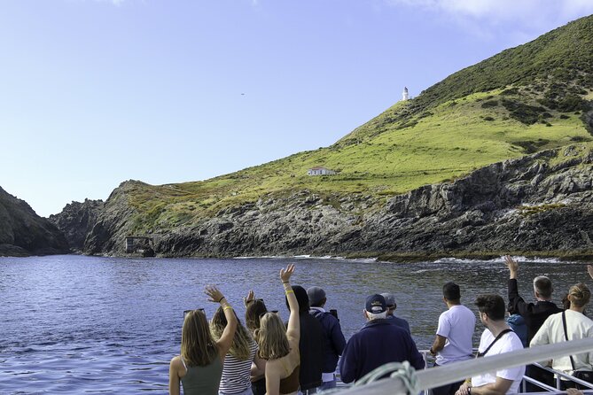 The Original Full day Bay of Islands Cruise with Dolphins - Otehei Bay Gives You Time to Choose Your Own Pace