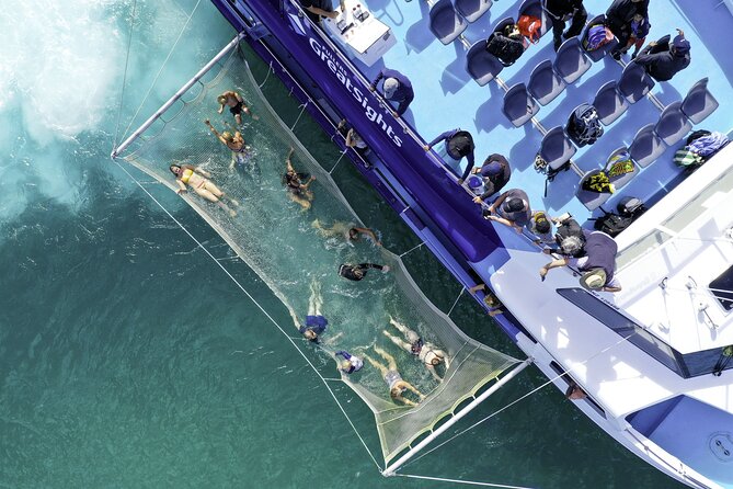 The Original Full day Bay of Islands Cruise with Dolphins - Dolphin Watching and Other Marine Life