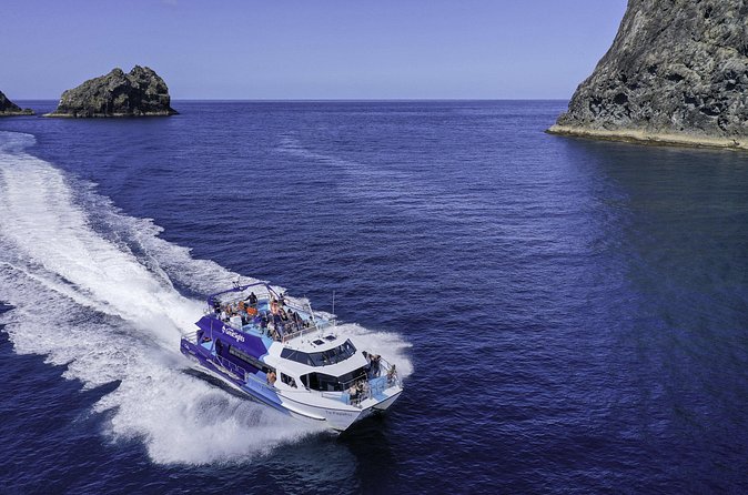 The Original Full day Bay of Islands Cruise with Dolphins - Boom-Netting Adds a Splash of Adventure