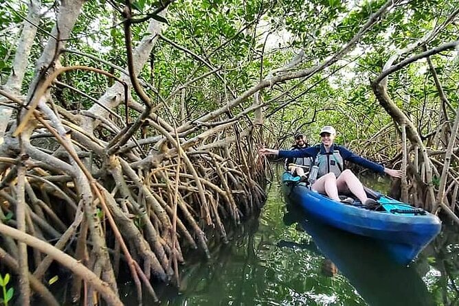 Thousand Island Mangrove Tunnel, Manatee & Dolphin Kayak Tour w/Cocoa Kayaking - Family appeal and physical demands
