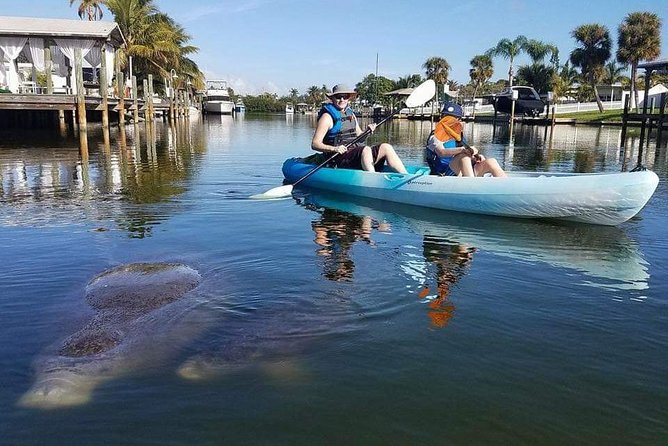 Thousand Island Mangrove Tunnel, Manatee & Dolphin Kayak Tour w/Cocoa Kayaking - Price and what you receive for $69.08