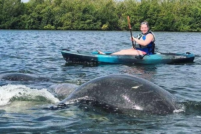 Thousand Island Mangrove Tunnel, Manatee & Dolphin Kayak Tour w/Cocoa Kayaking - Timing, weather, and cancellation rules