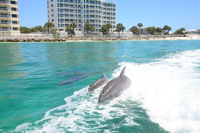Thriller Sunset Dolphin Cruise in Destin Harbor - What the $55.64 price really buys you