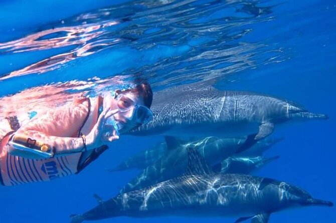 Tour and Swimming at the Dolphin House in Hurghada - Lunch, drinks, and water games keep the day moving