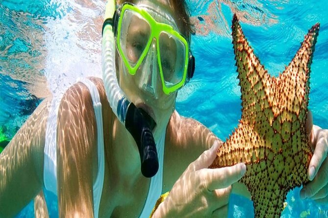 Tour and Swimming at the Dolphin House in Hurghada - Two 45-minute snorkeling stops make the water time worthwhile