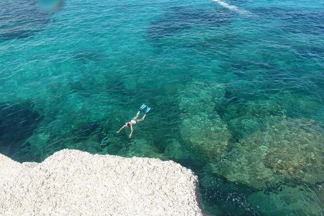 Tour to Figarolo Island with the possibility to observe dolphins - Leaving Olbia through the inland gulf