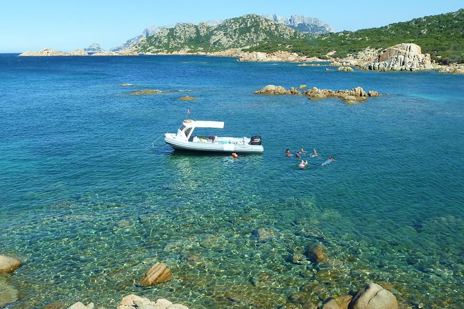 Tour to Figarolo Island with the possibility to observe dolphins - Capo Figari, Cala Moresca, and the second swim