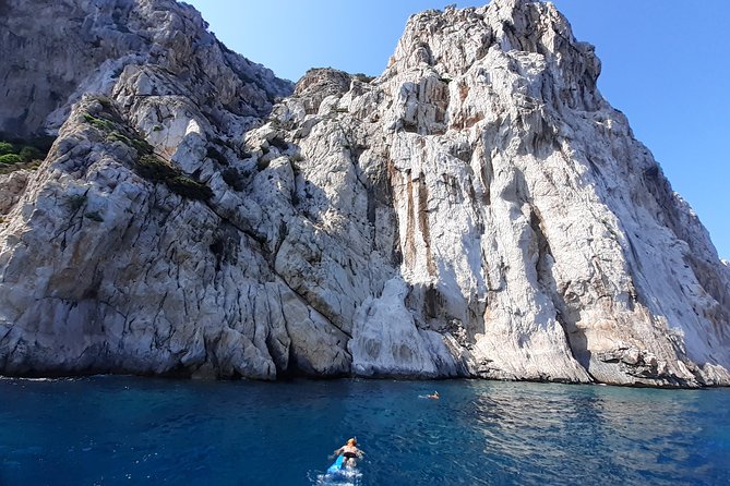 Tour to Figarolo Island with the possibility to observe dolphins - Snacks, drinks, and the small-boat comfort