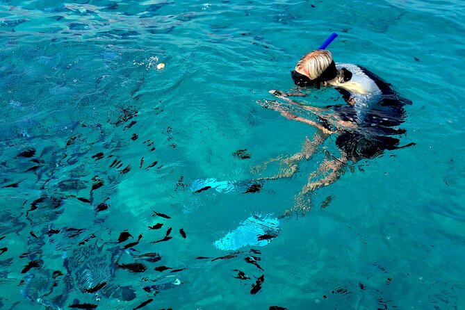 Tour to Figarolo Island with the possibility to observe dolphins - Practical details that make the day easier