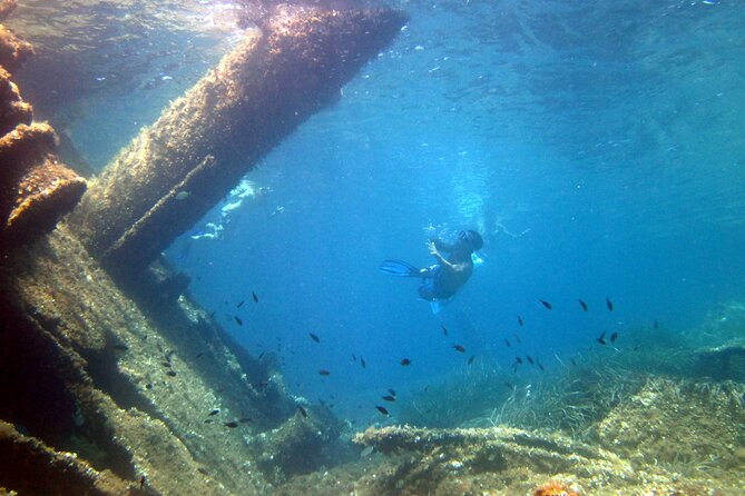 Tour to Figarolo Island with the possibility to observe dolphins - Figarolo Island and the dolphin search