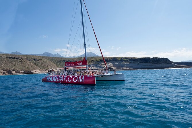 Tour with Whale and Dolphin Watching plus food included - What this Tenerife catamaran trip is really like