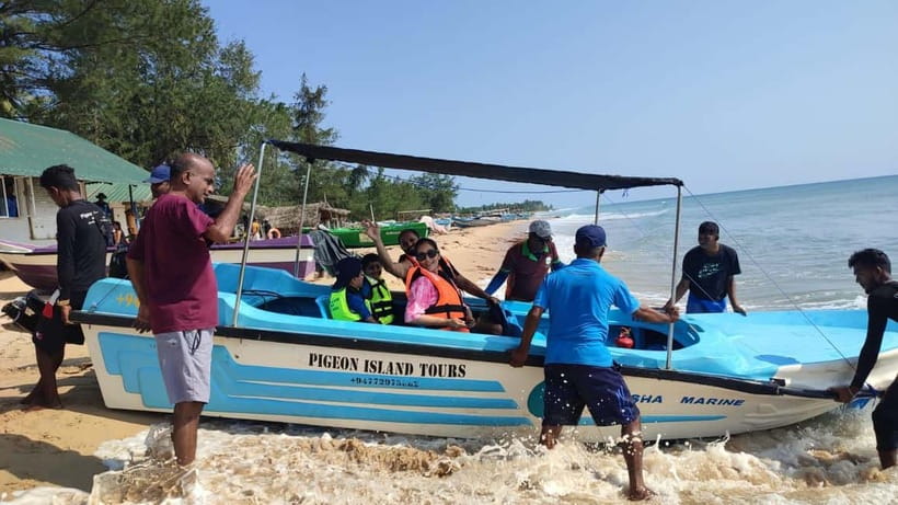 Trincomalee: Dolphin & Whale Watching Boat Tour - The wildlife ethics question