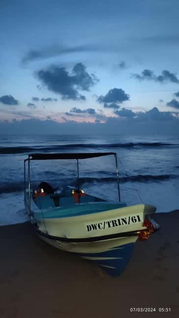Trincomalee: Dolphin & Whale Watching Boat Tour - What the $40 price really covers
