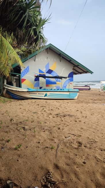 Trincomalee: Dolphin & Whale Watching Boat Tour - The ride from shore to open water