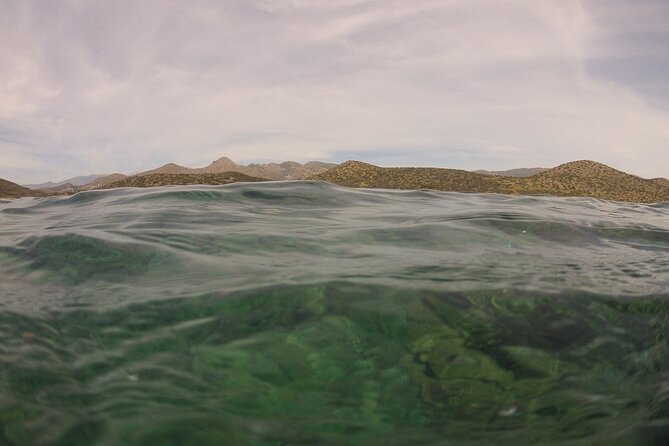 Try Snorkeling in the Sea with the Blue Dolphin Team - Why This Elounda Snorkeling Trip Suits Beginners