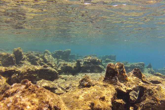 Try Snorkeling in the Sea with the Blue Dolphin Team - The Small Group Makes a Real Difference