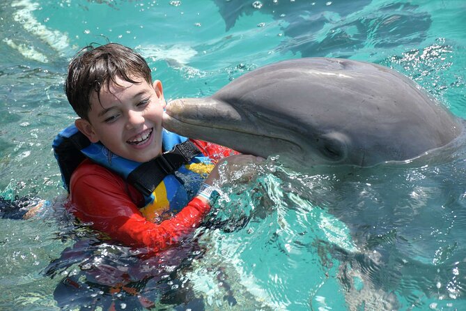 Tulum & Dolphin Connection from Cancun - How the seven-hour day may feel