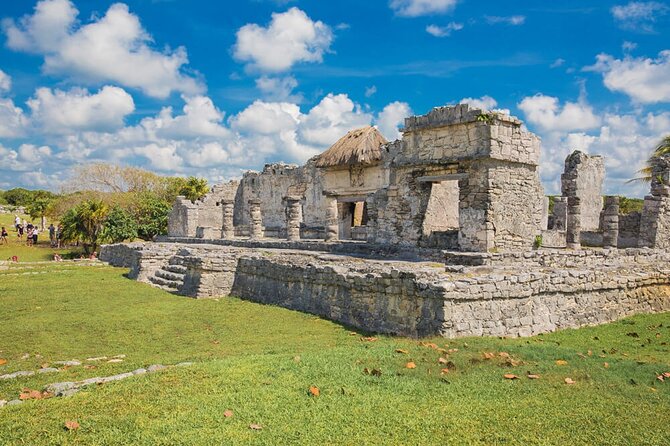 Tulum & Dolphin Connection from Cancun - Dolphin Discovery Tulum in Akumal