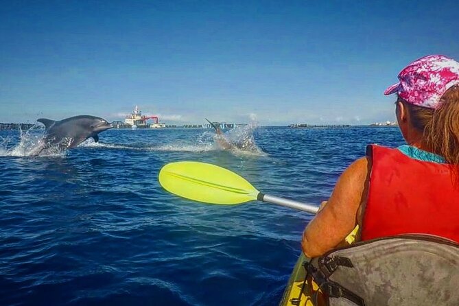 Turtle and Dolphin Watching Kayaking and Snorkeling Tour - From Palm Mar to Arenilla Beach