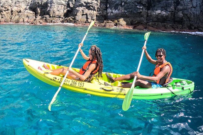 Turtle and Dolphin Watching Kayaking and Snorkeling Tour - What Two and a Half Hours Feels Like