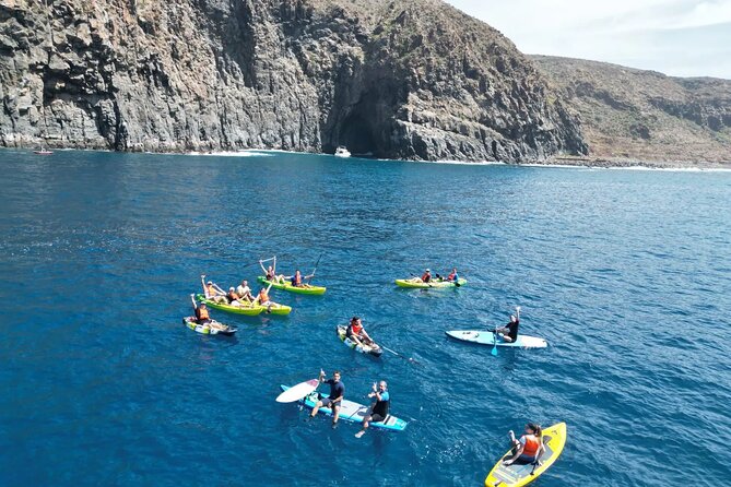 Turtle and Dolphin Watching Kayaking and Snorkeling Tour - What the $42.14 Price Includes