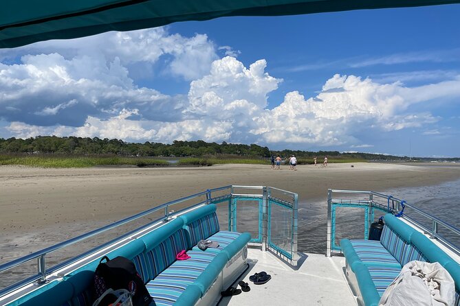 Two Hour Large Group Dolphin Tour - Boat comfort, shade, and what to bring