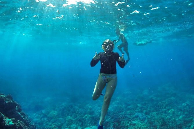 Ultimate 4 Hour Lanai Snorkel and Dolphin Encounter - The Crew Makes the Difference