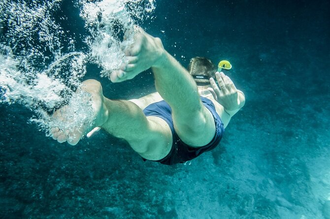 Ultimate Key West Day: Dolphin & Snorkel Combo with Sunset Sail - Is $189.99 a good value?