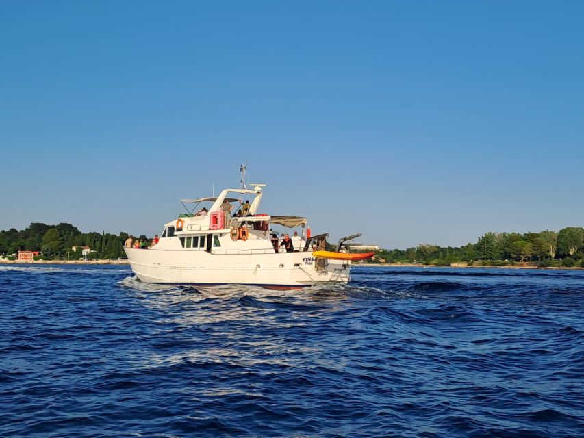 Umag: Sunset Cruise with Dolphin Spotting - Key points to know before you book