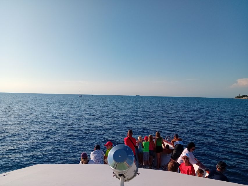 Umag: Sunset Cruise with Dolphin Spotting - Searching for dolphins in open Adriatic water