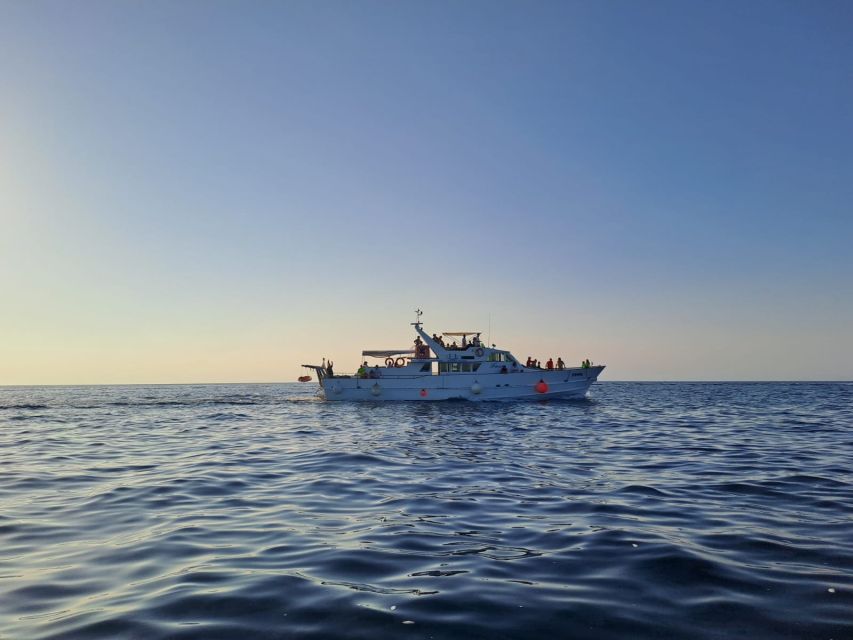Umag: Sunset Cruise with Dolphin Spotting - A schnapps welcome as the boat heads out