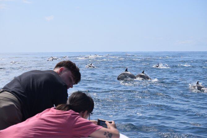 Up Close Dolphin & Whale Watching - Leaving Oceanside Harbor