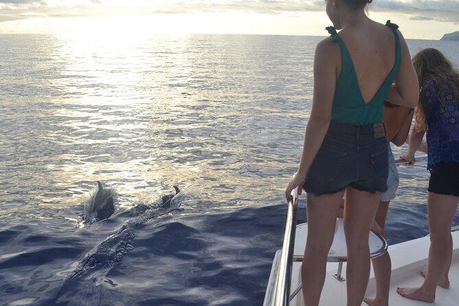 VipDolphins Luxury Whale Watching - Cabo Girao brings a welcome change of pace