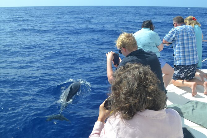 VipDolphins Luxury Whale Watching - Expect motion, sun, and changing conditions