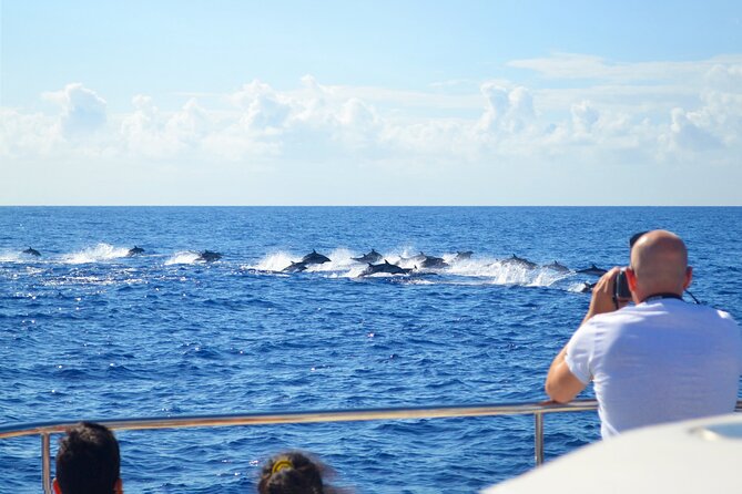 VipDolphins Luxury Whale Watching - Sunset departures add a different mood