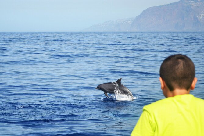 VipDolphins Luxury Whale Watching - Practical details that affect your decision