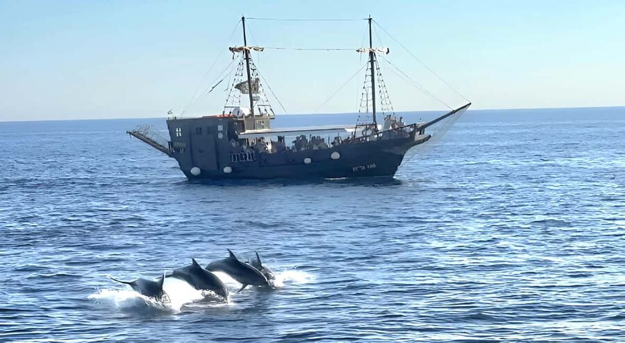 Vrsar: Dolphin Watching Boat Ride - Setting out from the Sveta Ana pirate boat