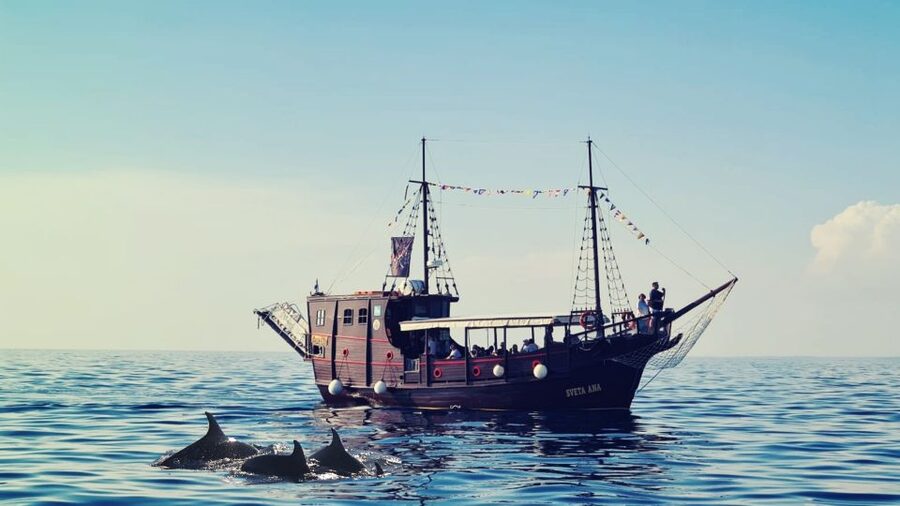 Vrsar: Dolphin Watching Boat Ride - Drinks, wine, and the pace of the ride