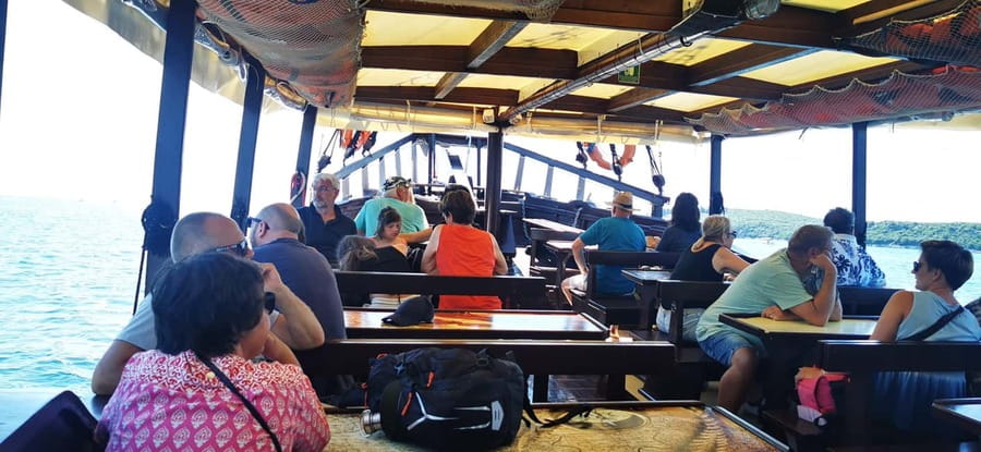 Vrsar: Dolphin Watching Boat Ride - Practical advice before you go