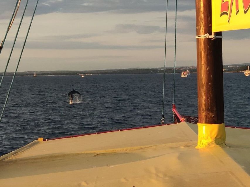 Vrsar: Dolphin Watching Boat Tour including Drinks - How much does the $29 price buy you?